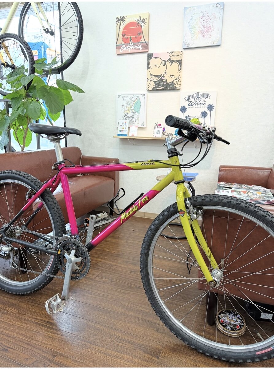 磨きとコーティングを施工したARAYA Muddy Foxのマウンテンバイク