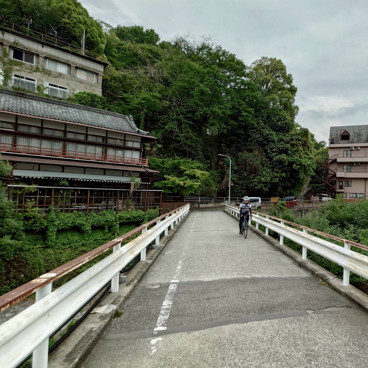 河内長野らしい風景の中を走るサイクリング参加者