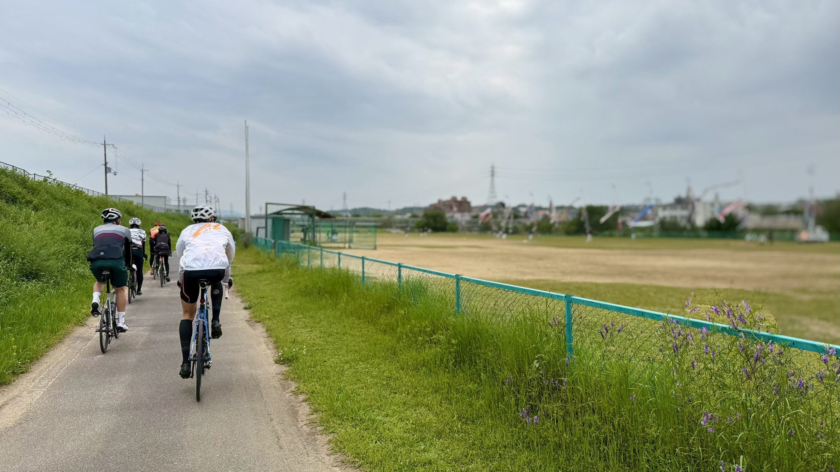 河内長野を走るサイクリング参加者